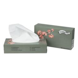 Mouchoirs 2 Plis Boite /100