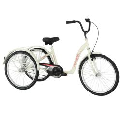 Freedom - 2217WR - Tricycle Adolescent