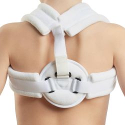 Anneaux Claviculaires