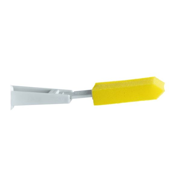 Éponge - Pieds et Dos