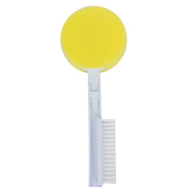 Éponge - Pieds et Dos