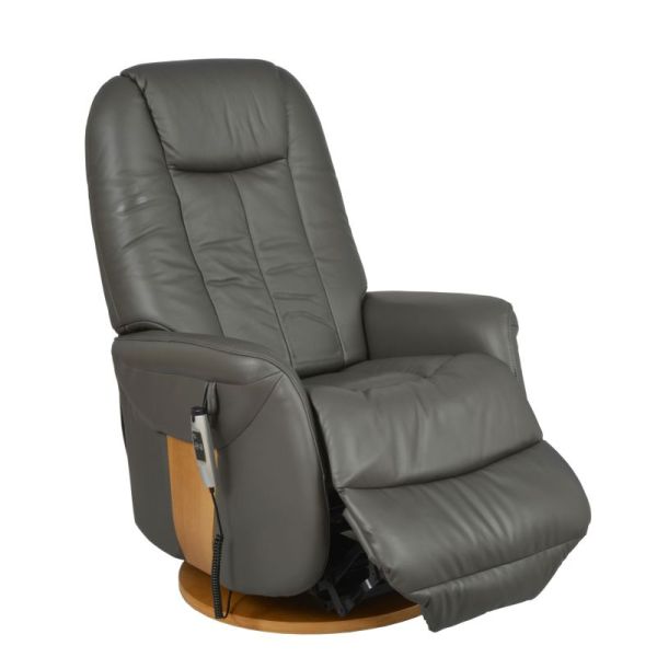 Fauteuil Releveur Électrique Pivotant - Toundra - Cuir/PU - 2 moteurs