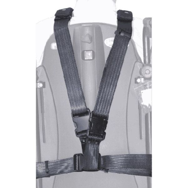 Ceinture Birdy Integrale