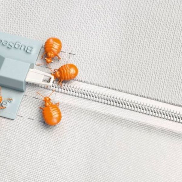 Housse Integrale Antiacariens Blanche